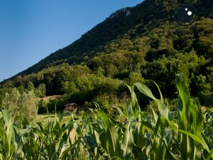 Ljepote varaždinskog kraja - Čevo